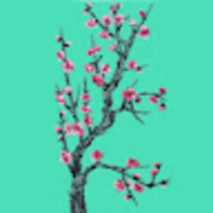 Meet your Posher, Meg